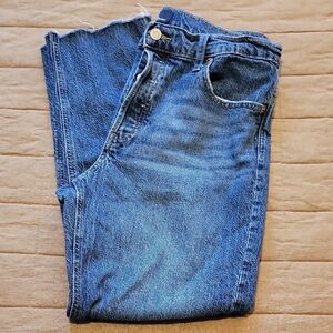 3/$40 GAP Denim High Rise Cheeky Straight Jeans - Blue